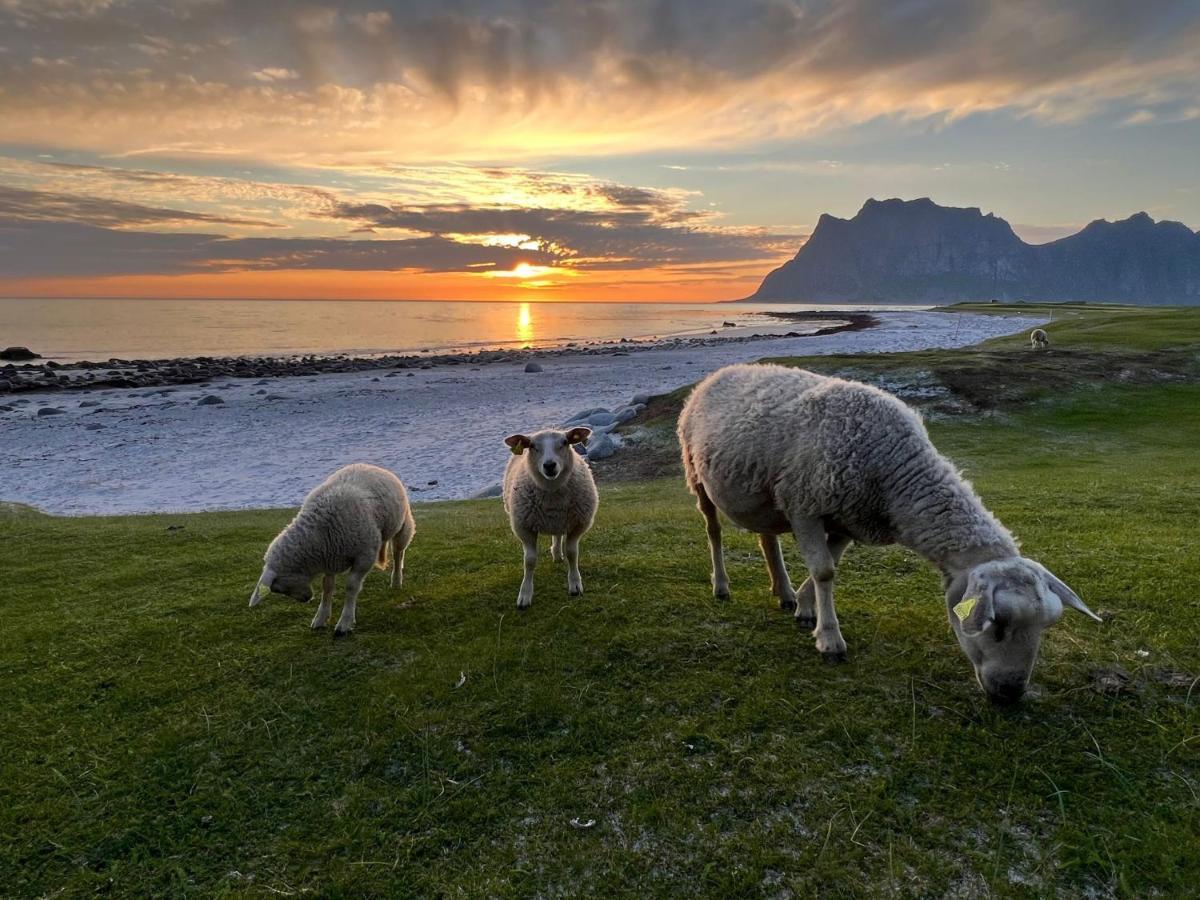 Real Fisherman's In Ballstad, Lofoten Casa vacanze Ballstad